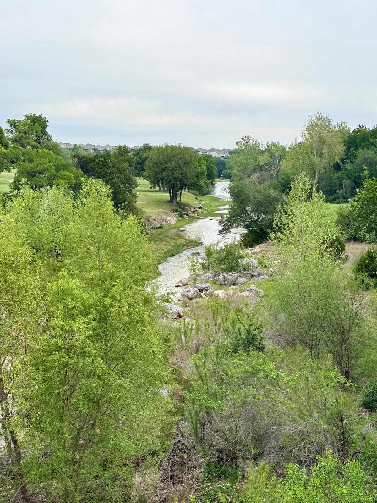 The river near Lake Georgetown
